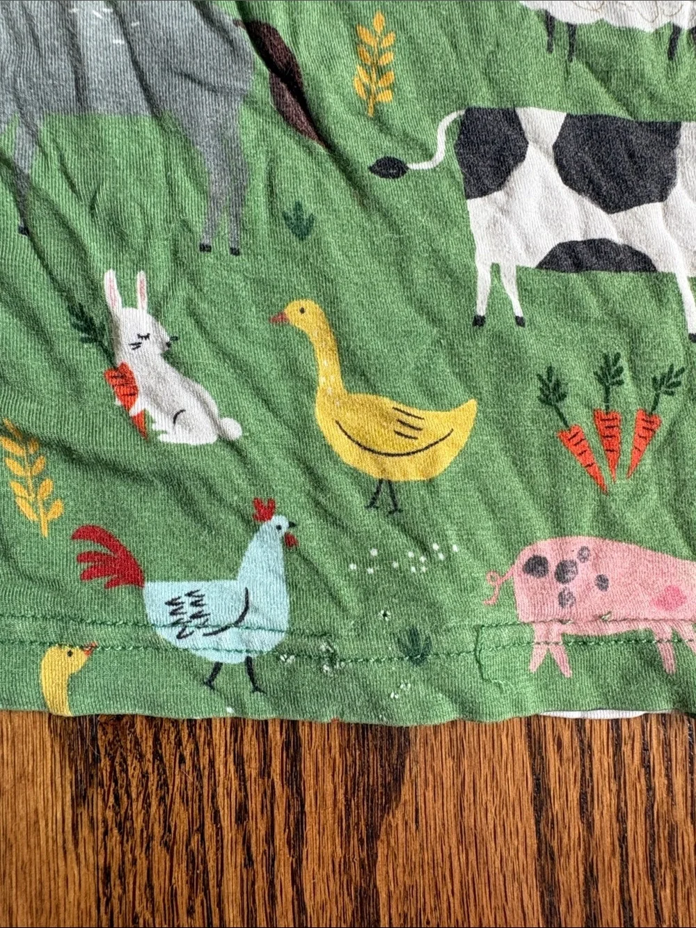 Little Sleepies green bamboo Farm Animals print, 2 piece pajama set. Size 9/10